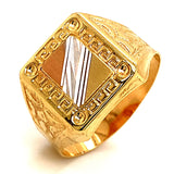 Anillo para caballero en oro amarillo 10kt.