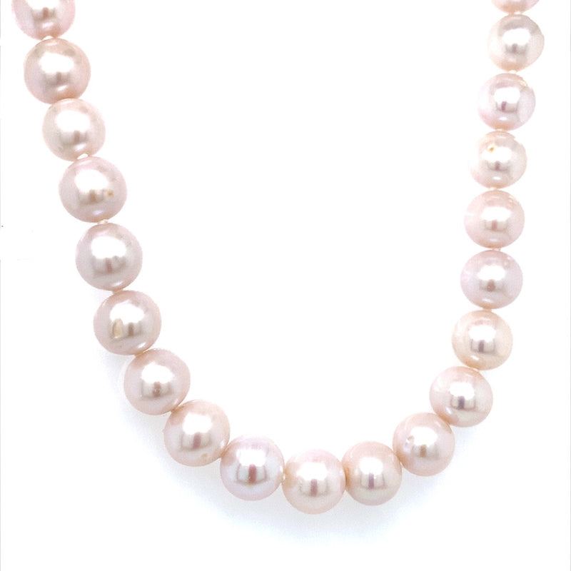 (SWAN) Collar de perlas en plata 925. 50cm.