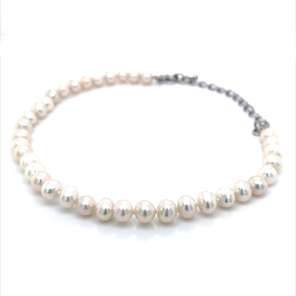 (SWAN) Pulsera de perlas cultivadas en plata 925