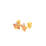 Aretes (flor) en oro tres tonos 10k