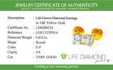 (LD) Aretes con diamantes de laboratorio en oro amarillo 14kt. D-0.81Cts.