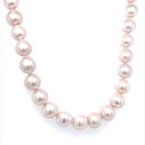 (SWAN) Collar de perlas en plata 925. 50cm. - DGjoyeros