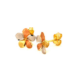 Aretes (flor) en oro tres tonos 10kt.