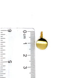 Dije (Grabable) en oro amarillo 10KT