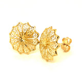 Aretes (filigrana) en oro amarillo 10kt.