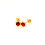 Aretes con circones en oro amarillo 14kt. (Enero)