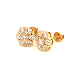 (LD) Aretes con diamantes de laboratorio en oro amarillo 14KT.