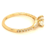 Anillo con circones en oro amarillo 10KT