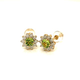 Aretes de Peridoto en oro amarillo 10k