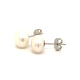(SWAN) Aretes de perlas cultivadas en plata 925