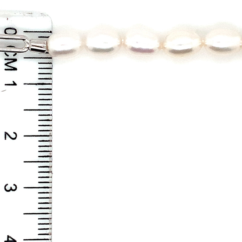 (SWAN) Collar de perlas cultivadas en plata 925