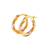 Argollas en oro tres tonos 10kt.